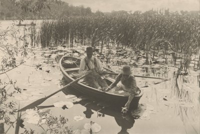 Recogiendo lirios de agua de Peter Henry Emerson